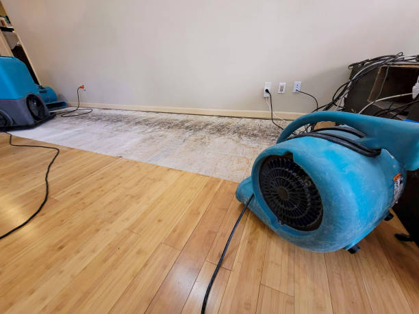 Professional Structural Drying technician working in Emerson, IA